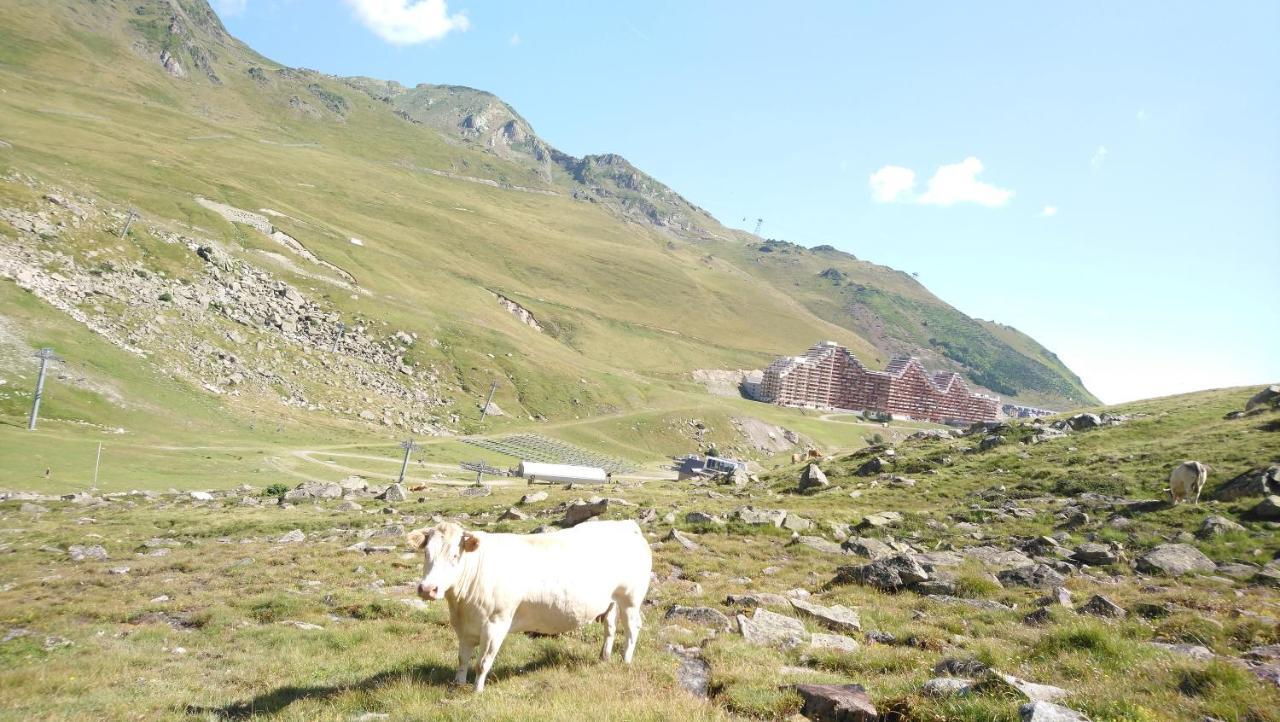 Studio En Pleine Montagne Avec Vue Sur Marmottes La Mongie Exteriör bild
